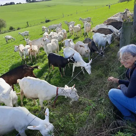 Σπίτι διακοπών Gillishof *